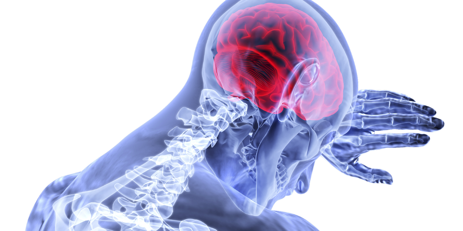 best neurologist in kolkata